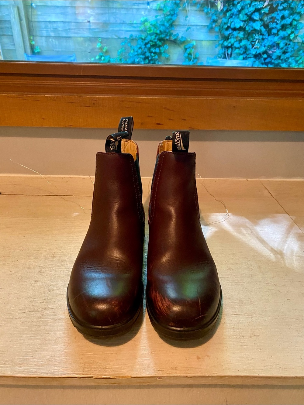 Blundstone Chelsea Boots - in Shiraz